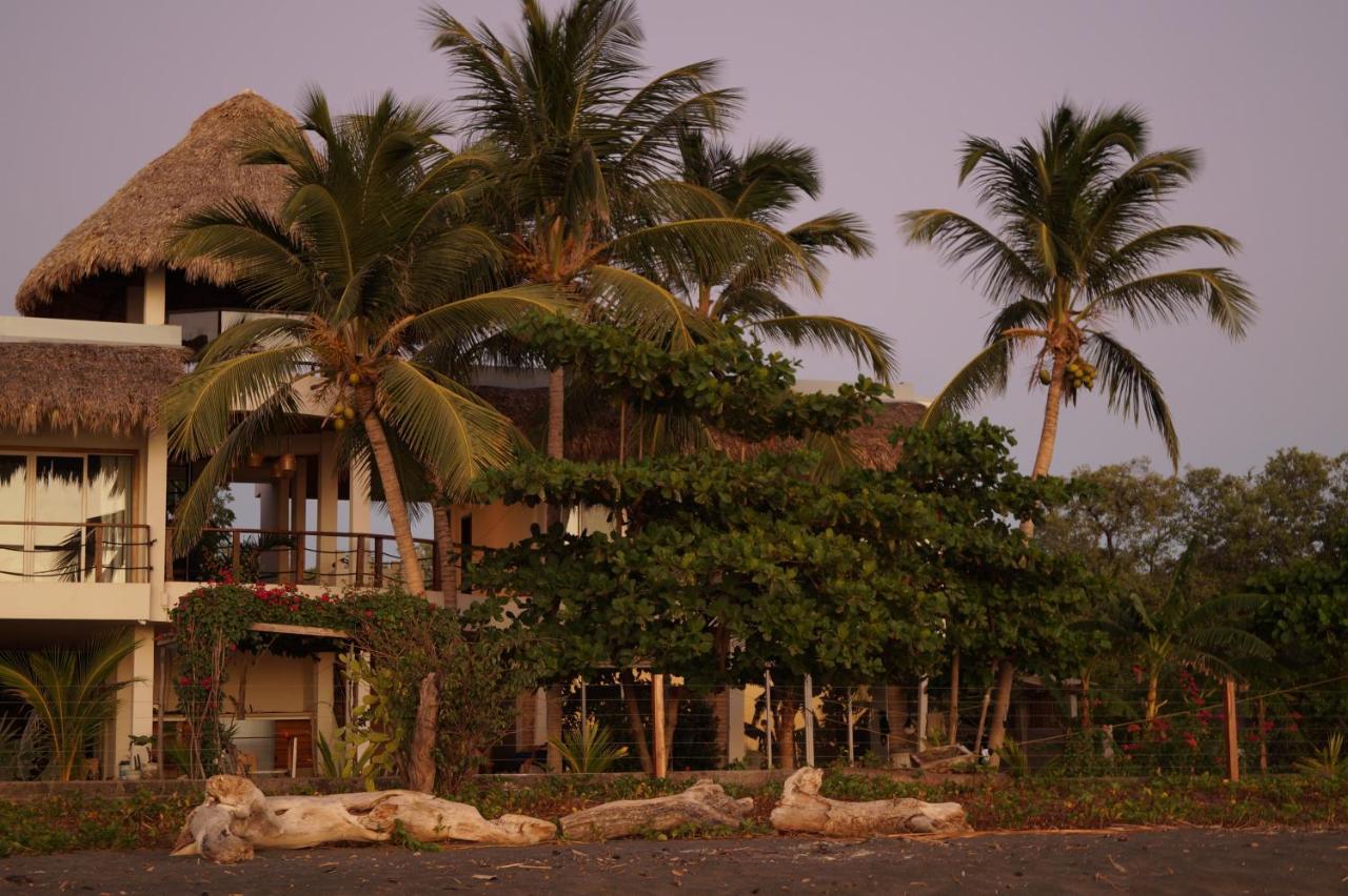 Alive Beach House Transito Экстерьер фото